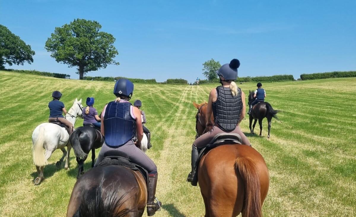 Six horses and riders wearing hard hats and body protectors head across the field, with a blue skyline and trees in the distance.