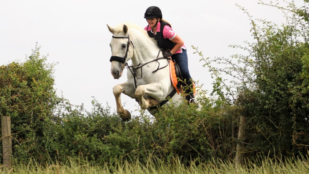 Cross country course at Bank Farm equestrian Centre with horse and rider jumping a hedge