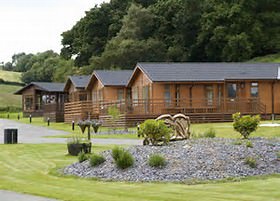 Some timber lodges at coppice gate set in the forest