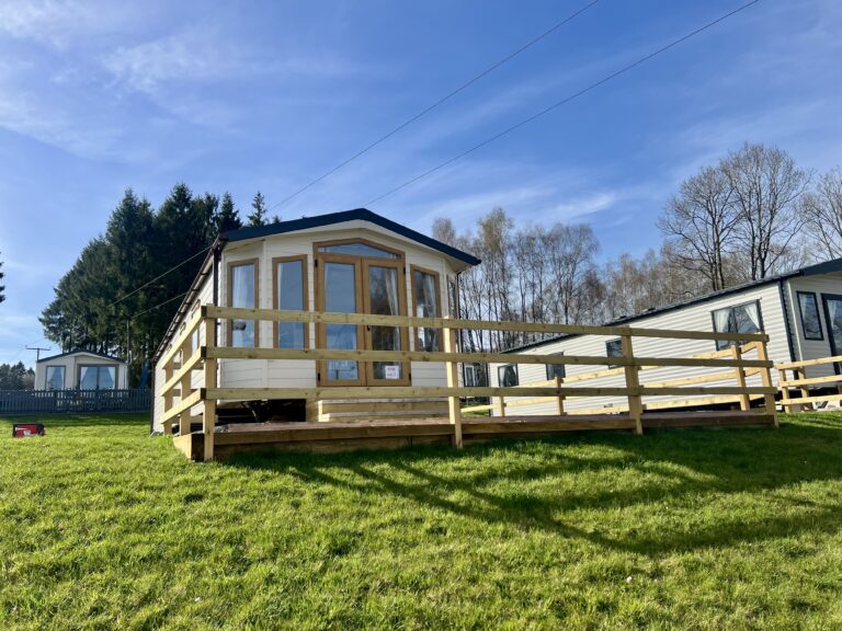 The Europa Mulberry stands in a fantastic open plot at lodge coppice