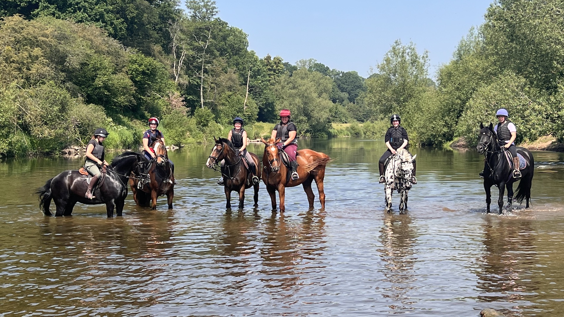 horses-for-sale six Horses and riders in the river severn