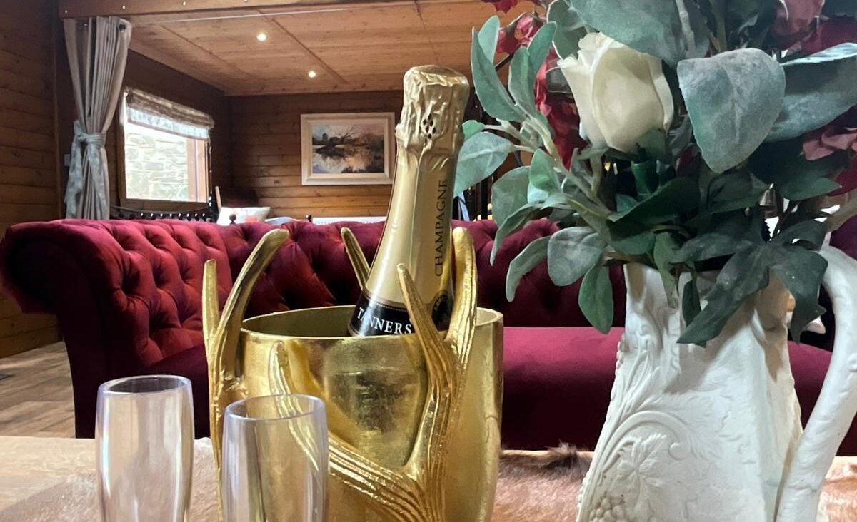 To champagne flutes, a bottle of champagne and an ice bucket, a vase of Roses all sit in the foreground to the open plan lounge area of the glamping lodge.