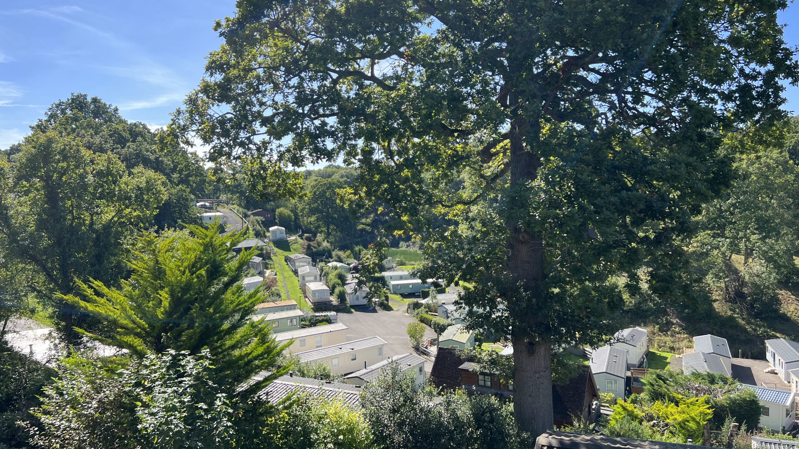 bank farm holiday park from a high, looking down through the trees