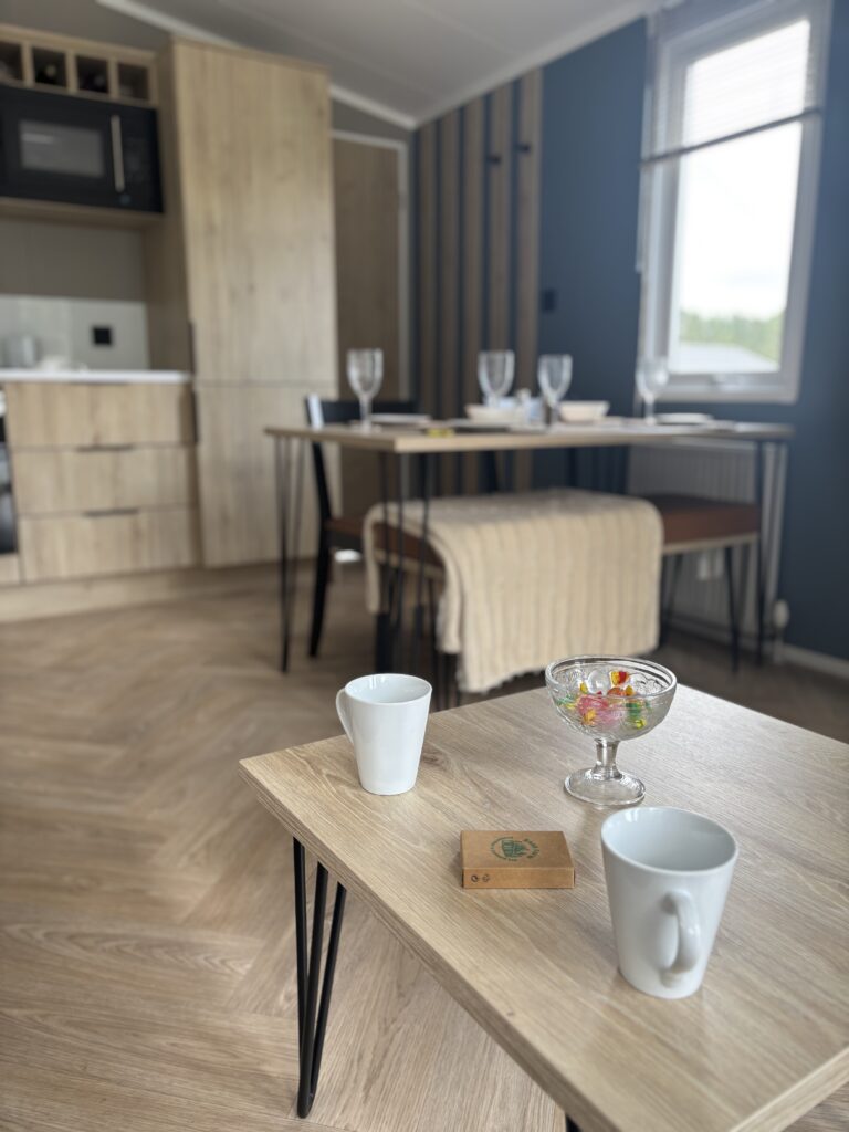 Victory Bower open plan living