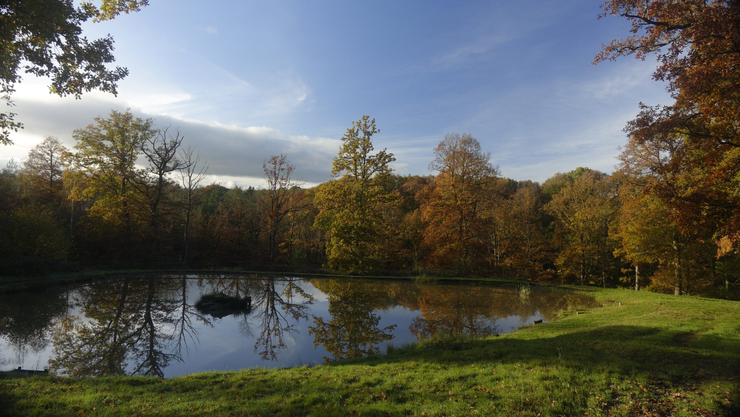 The fishing pool at bank farm holiday park during autumn