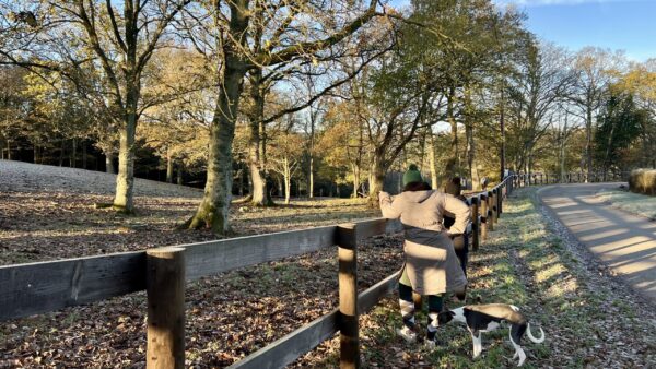 Planning for the new Rustic Equigility Course at Bank Farm Equestrian