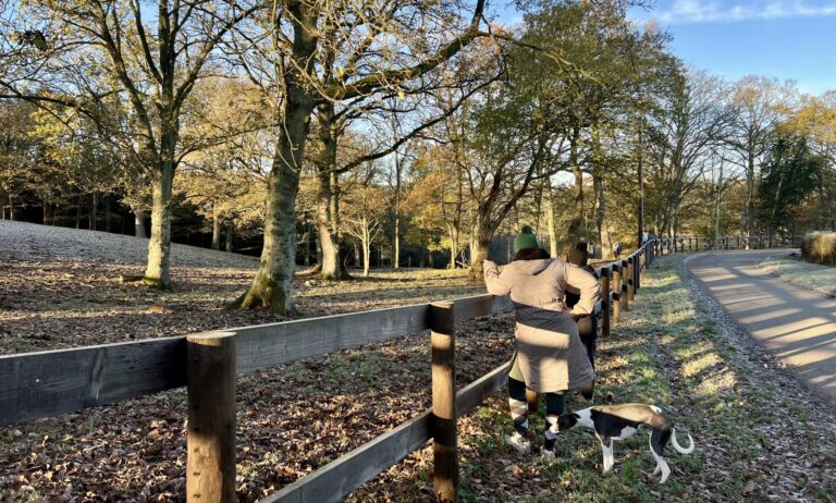 Planning for the new Rustic Equigility Course at Bank Farm Equestrian