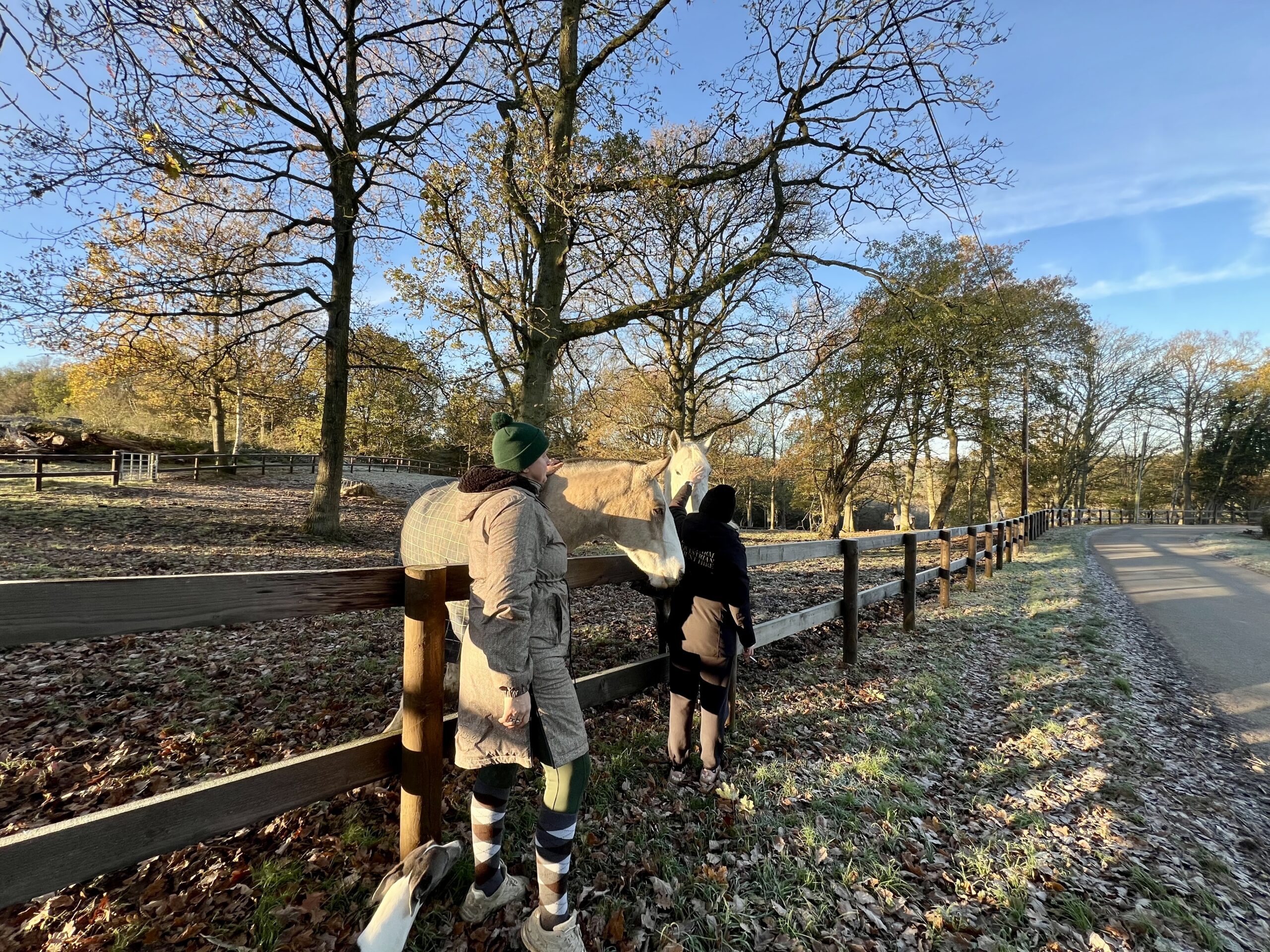 Planning for the new Rustic Equigility Course at Bank Farm Equestrian