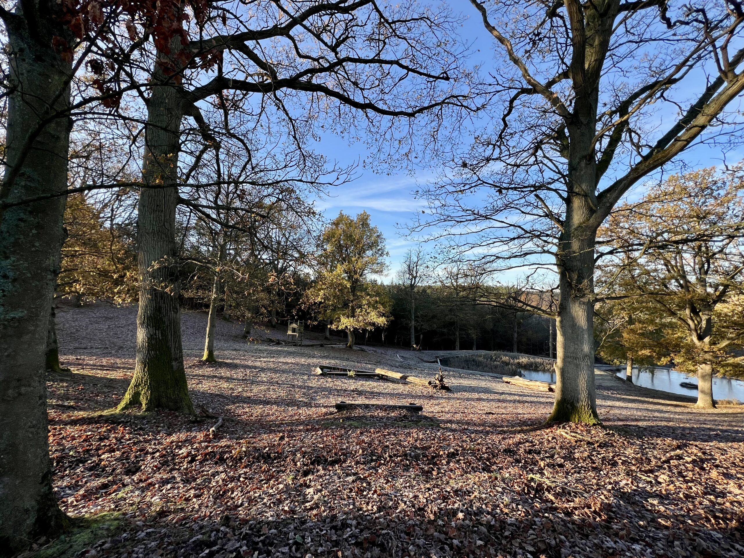 Planning for the new Rustic Equigility Course at Bank Farm Equestrian