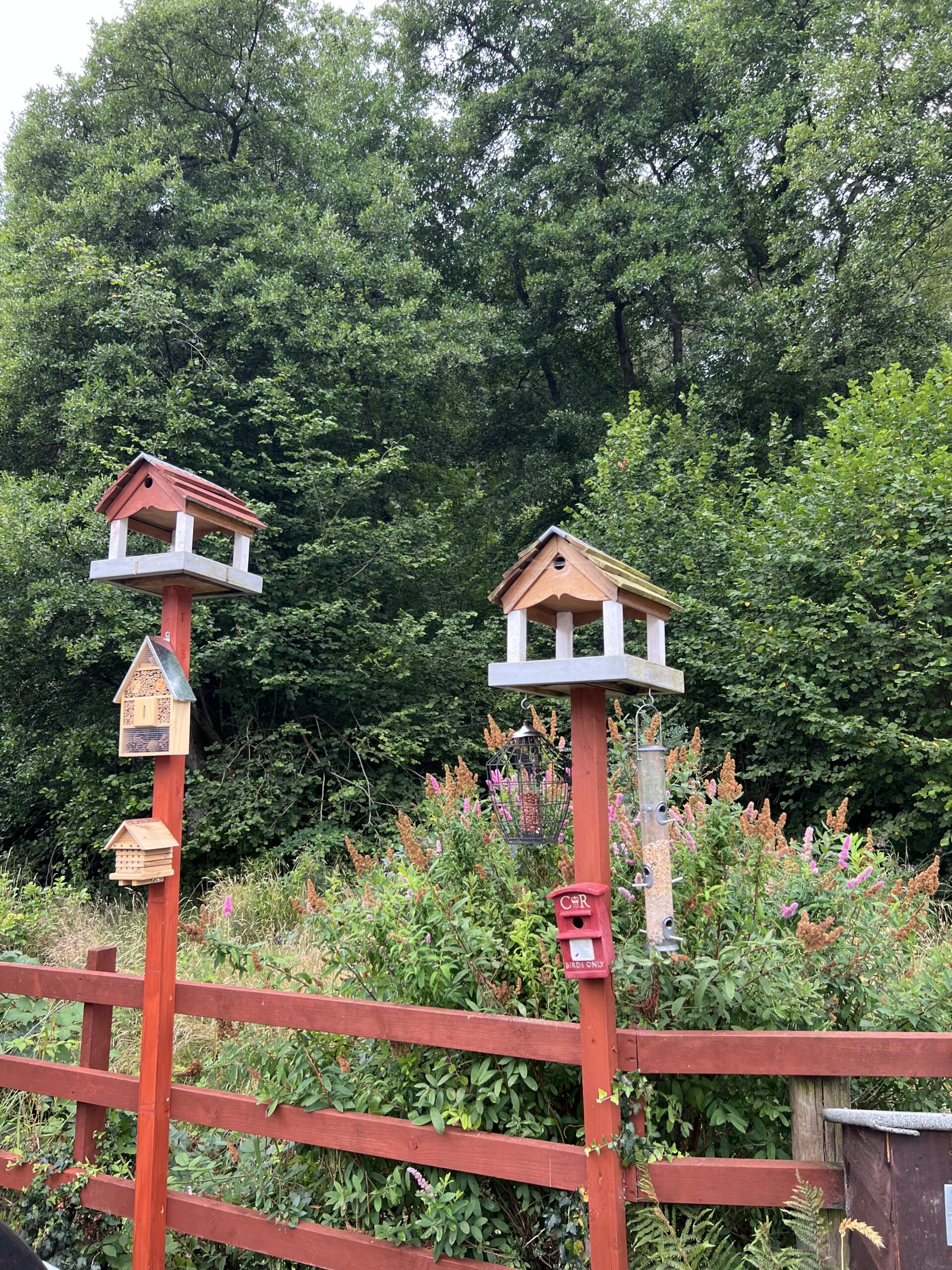 Bank Farm in Bloom Bird Houses at Bank Farm Holiday Park