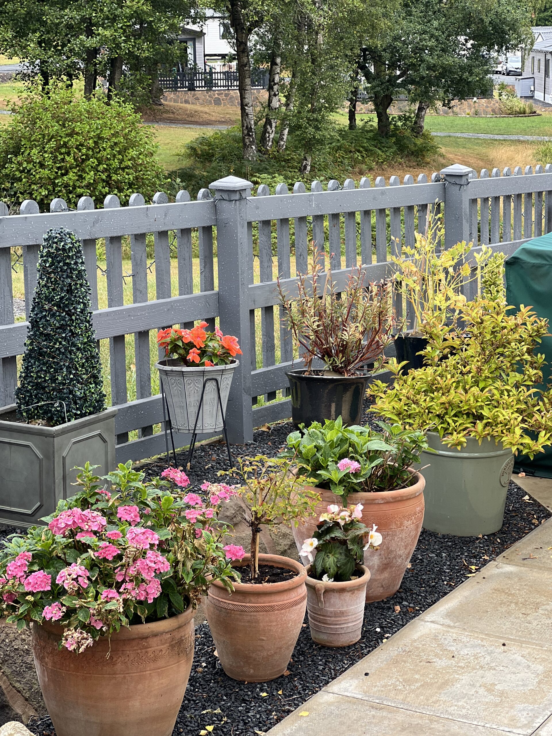 Bank Farm in Bloom Beautiful potted plants at Lodge Coppice holiday park