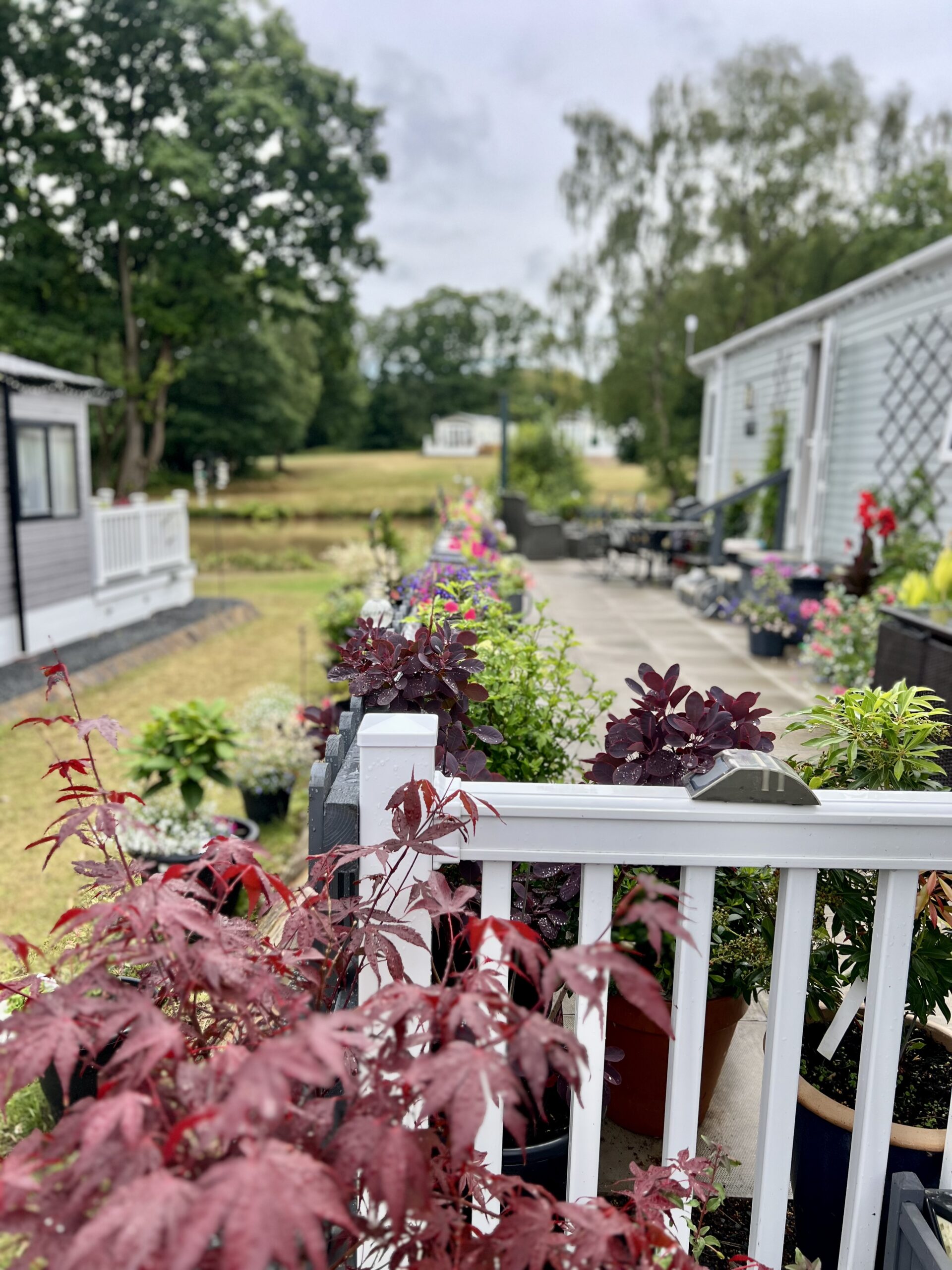 Bank Farm in Bloom Beautiful Garden areas at Lodge Coppice Holiday Park