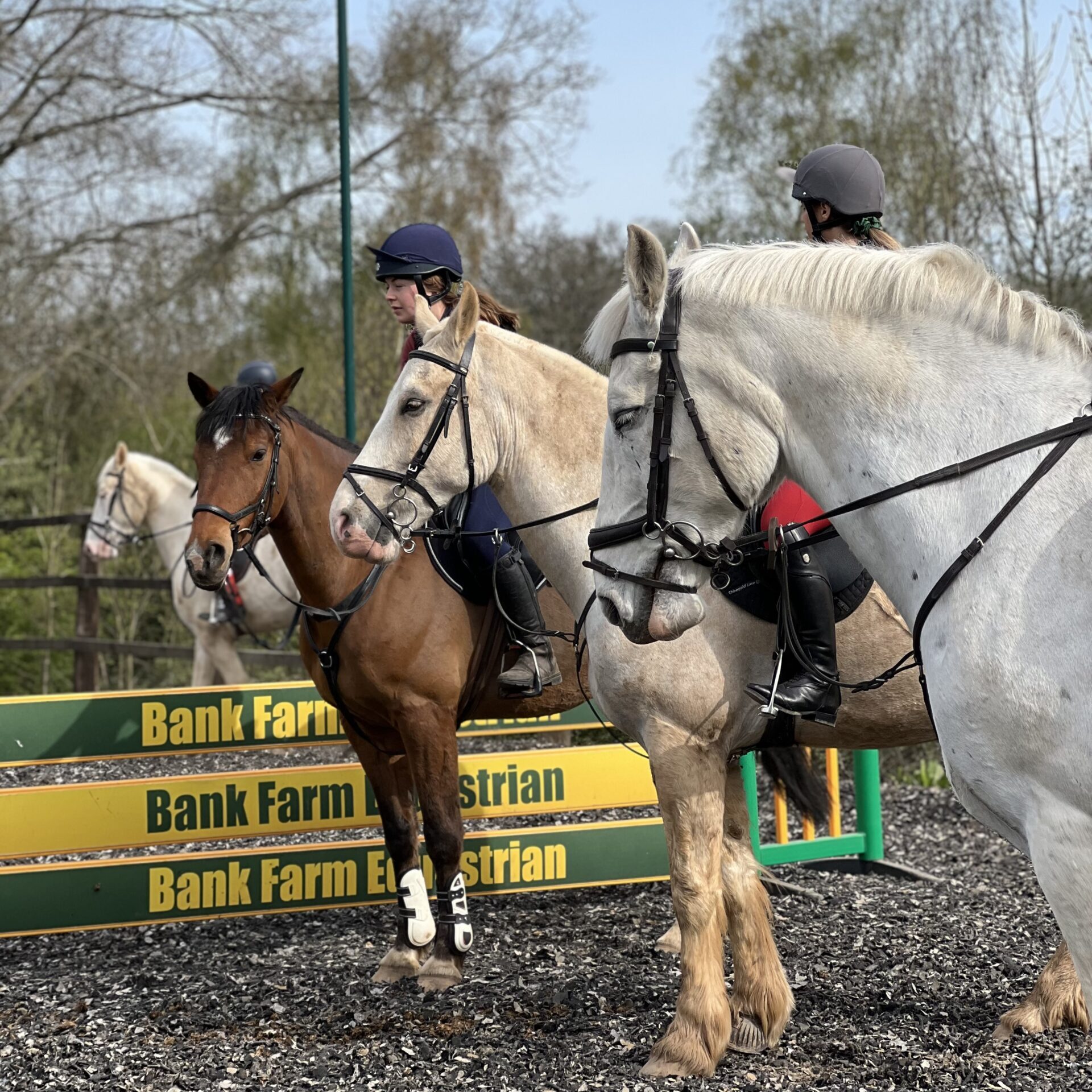 Group clinic at Bank Farm Equestrian