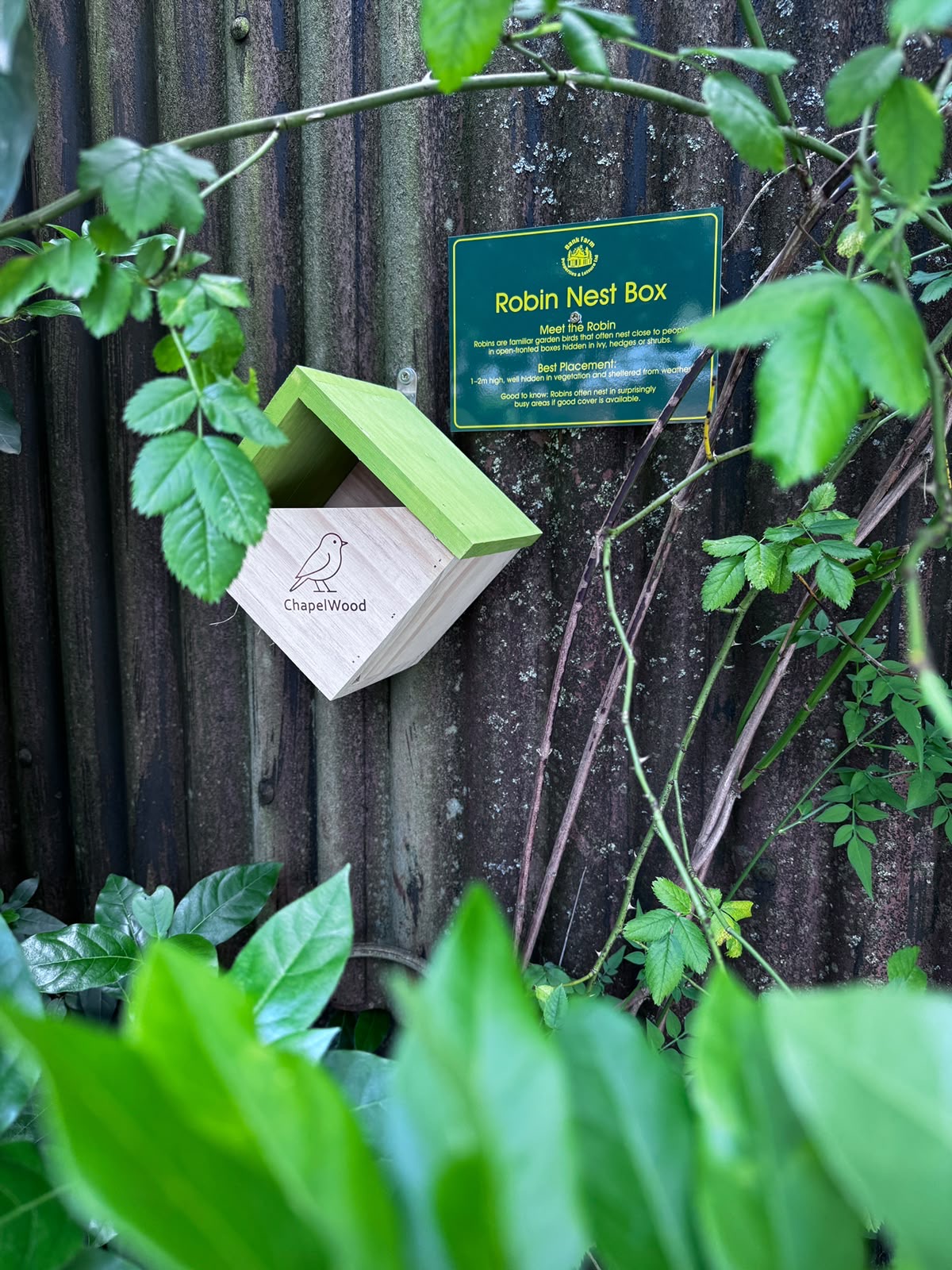 Robin Nesting box at Bank Farm Holiday Park