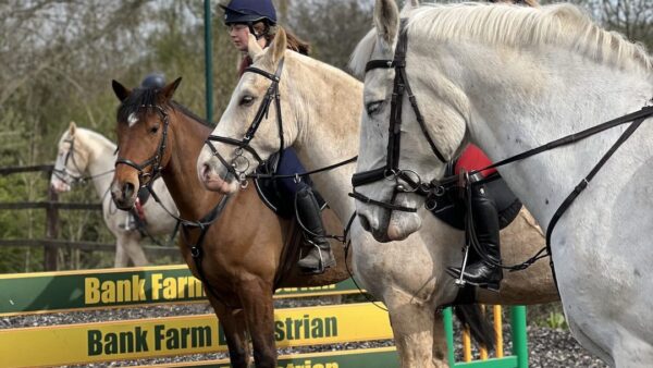 Post image for Why Riding Lessons Aren’t Just for Beginners